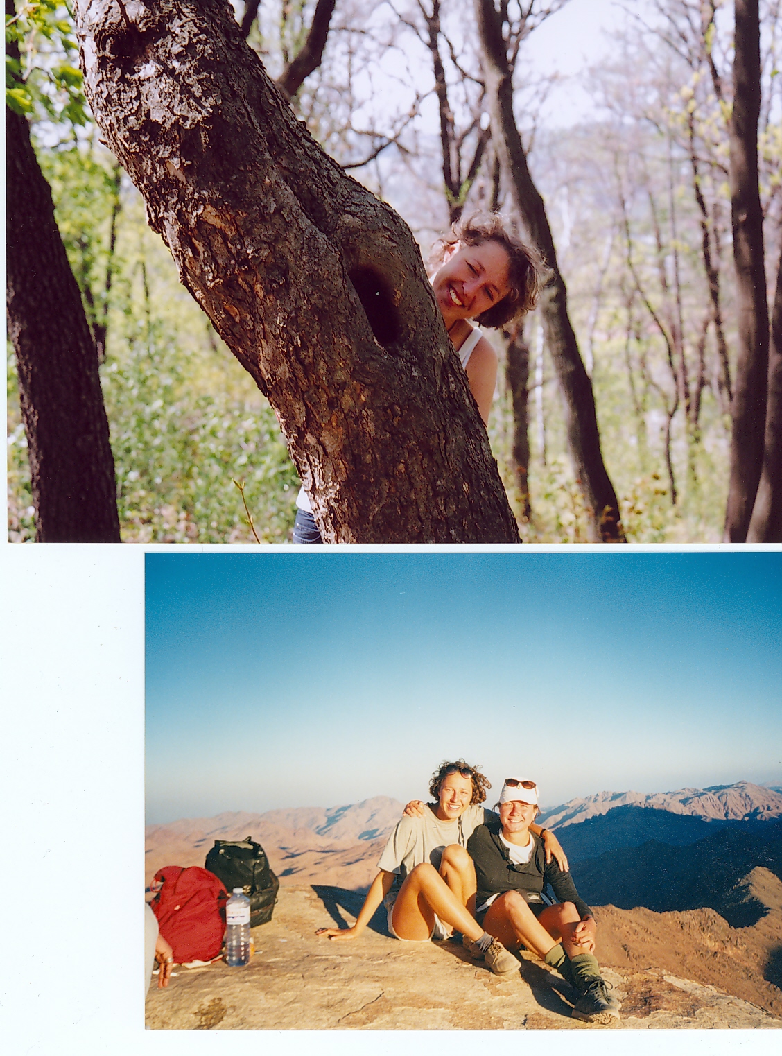 1995-Sinaj